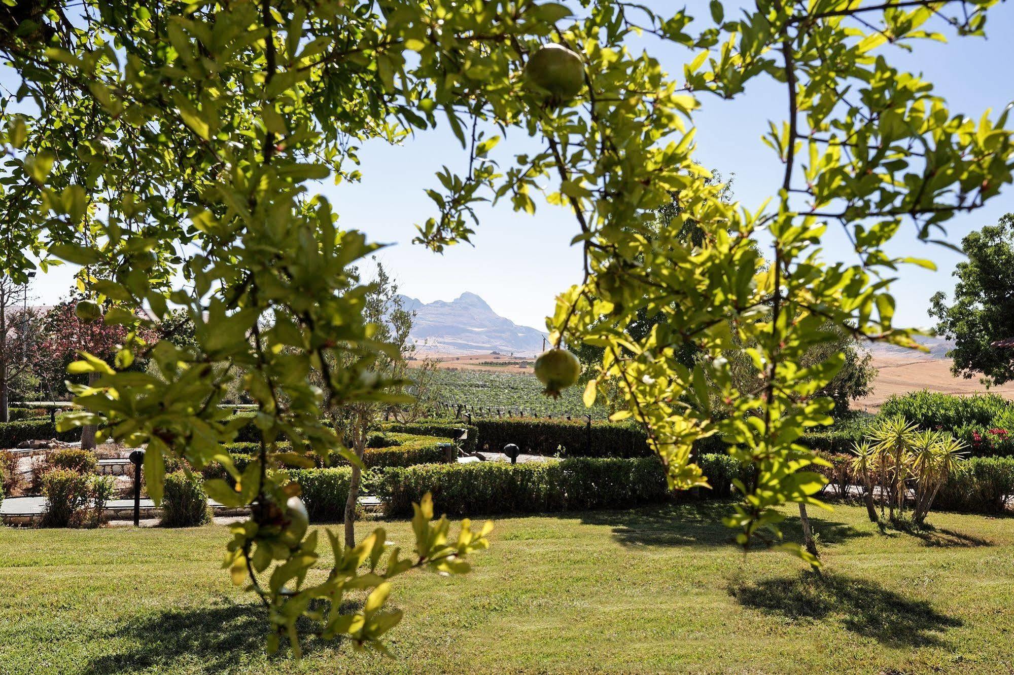 Agriturismo Tenute Pollara Roccamena Buitenkant foto